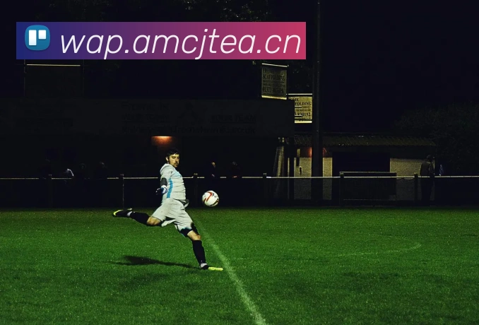 多媒体互动体验